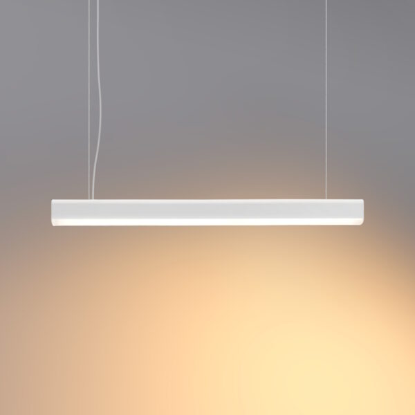 FURRO/Z B