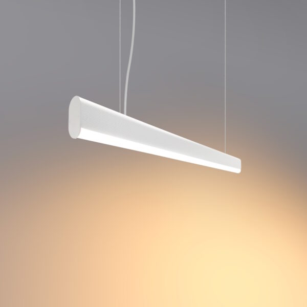 FURRO/Z B